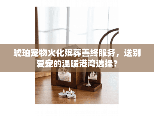 琥珀宠物火化殡葬善终服务，送别爱宠的温暖港湾选择？