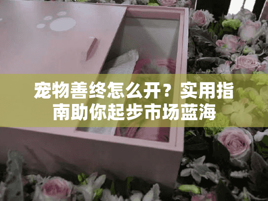 宠物善终怎么开？实用指南助你起步市场蓝海