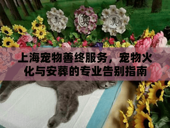 上海宠物善终服务，宠物火化与安葬的专业告别指南