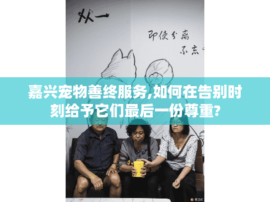 嘉兴宠物善终服务,如何在告别时刻给予它们最后一份尊重?