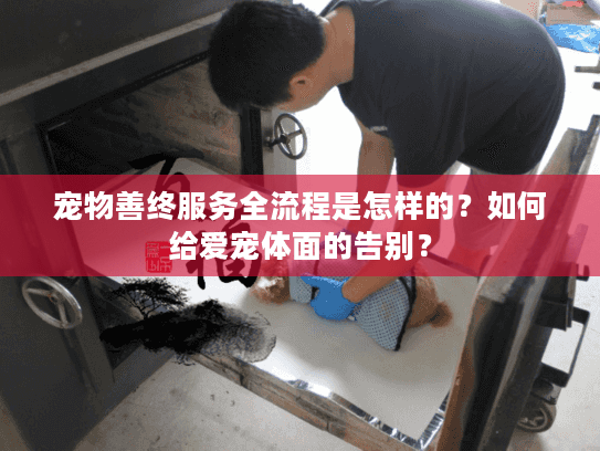 宠物善终服务全流程是怎样的？如何给爱宠体面的告别？