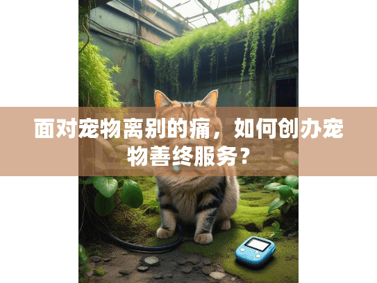 面对宠物离别的痛，如何创办宠物善终服务？