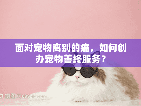 面对宠物离别的痛，如何创办宠物善终服务？
