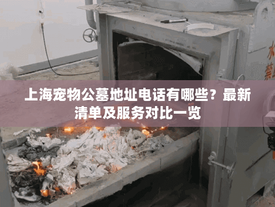 上海宠物公墓地址电话有哪些？最新清单及服务对比一览