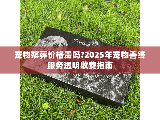 宠物殡葬价格贵吗?2025年宠物善终服务透明收费指南