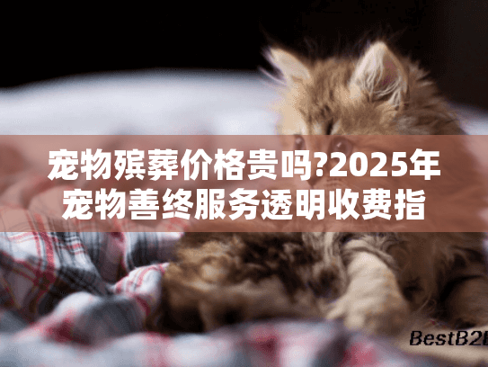 宠物殡葬价格贵吗?2025年宠物善终服务透明收费指南