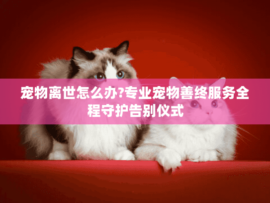 宠物离世怎么办?专业宠物善终服务全程守护告别仪式