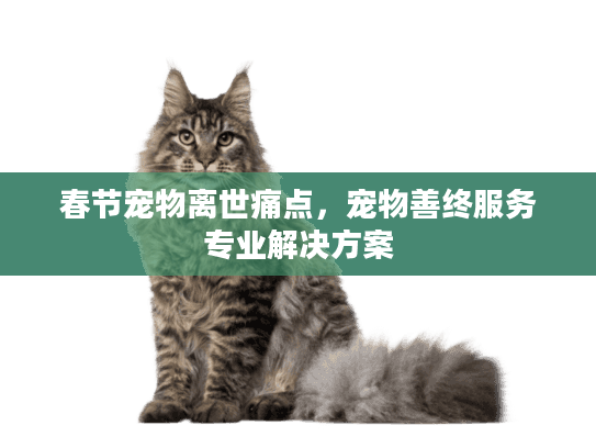 春节宠物离世痛点，宠物善终服务专业解决方案