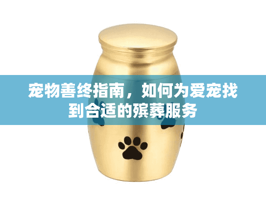 宠物善终指南，如何为爱宠找到合适的殡葬服务