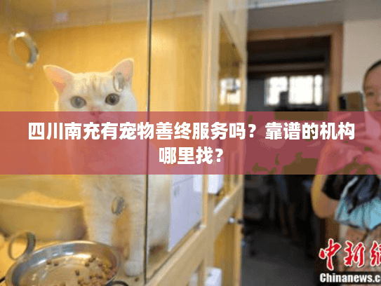 四川南充有宠物善终服务吗？靠谱的机构哪里找？