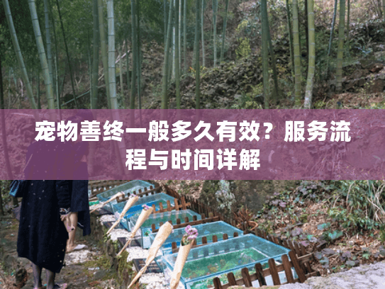 宠物善终一般多久有效？服务流程与时间详解