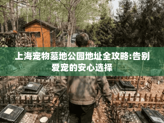 上海宠物墓地公园地址全攻略:告别爱宠的安心选择