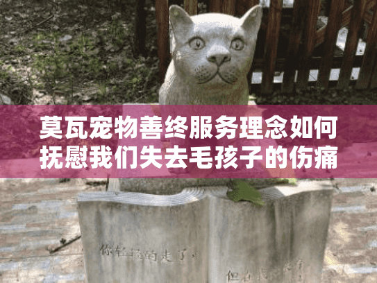 莫瓦宠物善终服务理念如何抚慰我们失去毛孩子的伤痛？