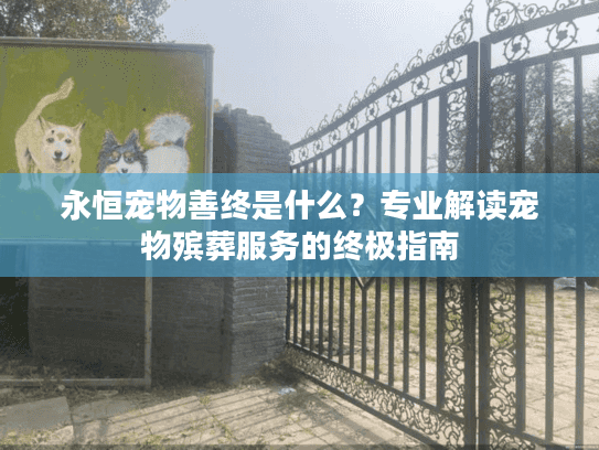 永恒宠物善终是什么？专业解读宠物殡葬服务的终极指南