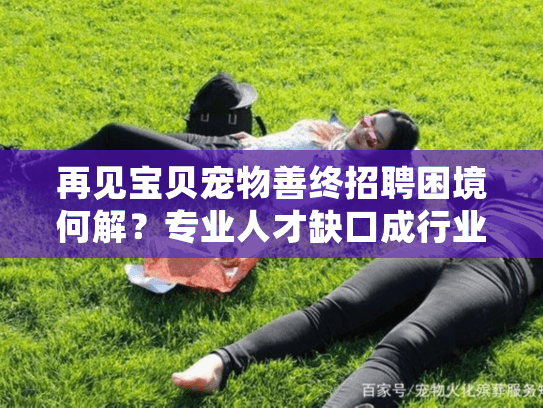 再见宝贝宠物善终招聘困境何解？专业人才缺口成行业痛点