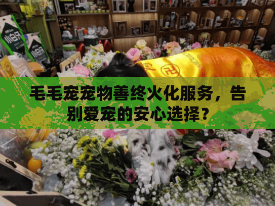毛毛宠宠物善终火化服务，告别爱宠的安心选择？
