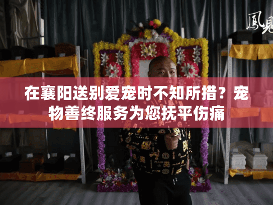 在襄阳送别爱宠时不知所措？宠物善终服务为您抚平伤痛