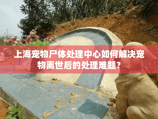 上海宠物尸体处理中心如何解决宠物离世后的处理难题？