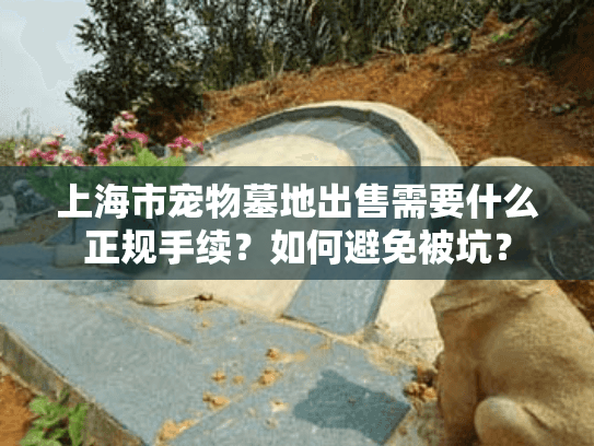 上海市宠物墓地出售需要什么正规手续？如何避免被坑？
