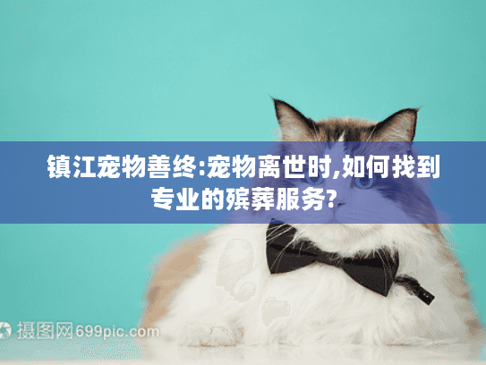 镇江宠物善终:宠物离世时,如何找到专业的殡葬服务?