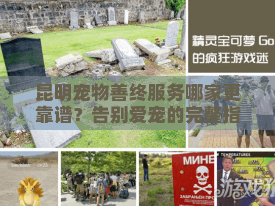 昆明宠物善终服务哪家更靠谱？告别爱宠的完整指南
