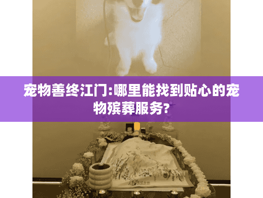 宠物善终江门:哪里能找到贴心的宠物殡葬服务?