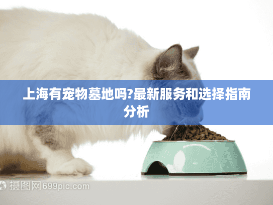 上海有宠物墓地吗?最新服务和选择指南分析