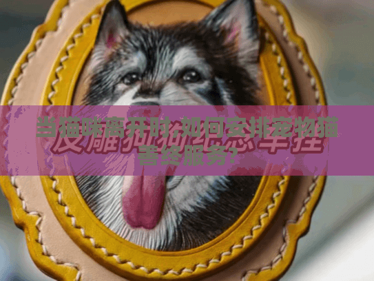 当猫咪离开时,如何安排宠物猫善终服务?