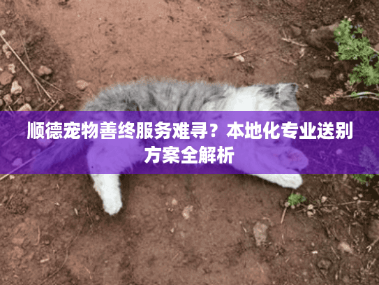 顺德宠物善终服务难寻？本地化专业送别方案全解析