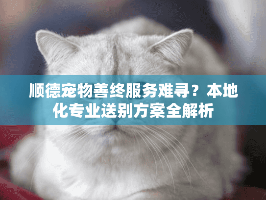 顺德宠物善终服务难寻？本地化专业送别方案全解析