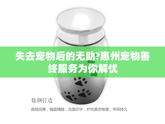 失去宠物后的无助?惠州宠物善终服务为你解忧