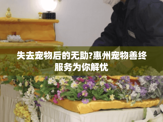 失去宠物后的无助?惠州宠物善终服务为你解忧