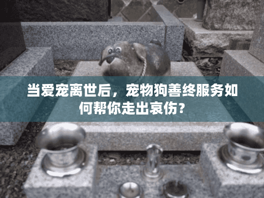 当爱宠离世后，宠物狗善终服务如何帮你走出哀伤？