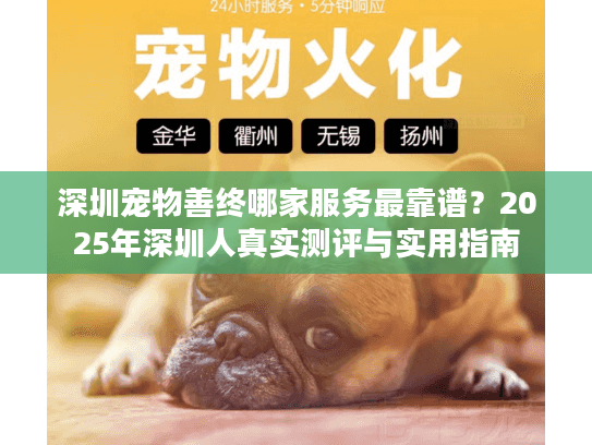 深圳宠物善终哪家服务最靠谱？2025年深圳人真实测评与实用指南