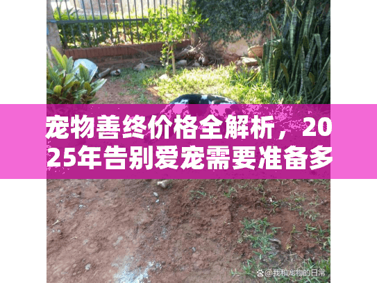 宠物善终价格全解析，2025年告别爱宠需要准备多少预算？