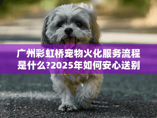 广州彩虹桥宠物火化服务流程是什么?2025年如何安心送别爱宠?