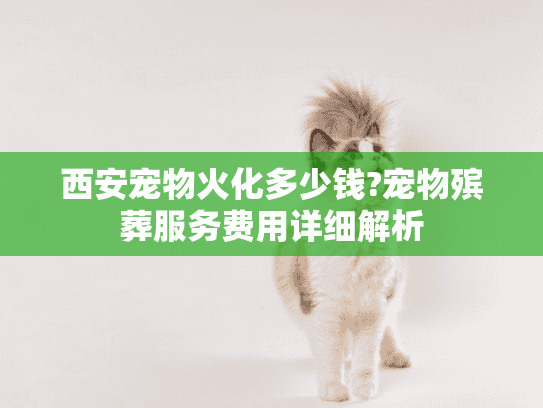 西安宠物火化多少钱?宠物殡葬服务费用详细解析