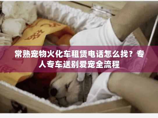 常熟宠物火化车租赁电话怎么找？专人专车送别爱宠全流程