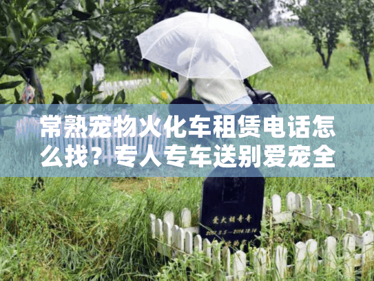 常熟宠物火化车租赁电话怎么找？专人专车送别爱宠全流程