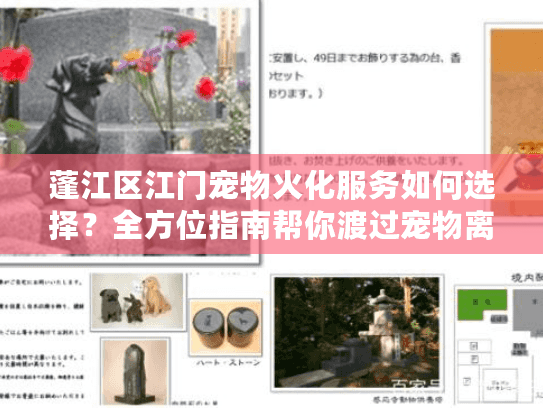 蓬江区江门宠物火化服务如何选择？全方位指南帮你渡过宠物离别难关