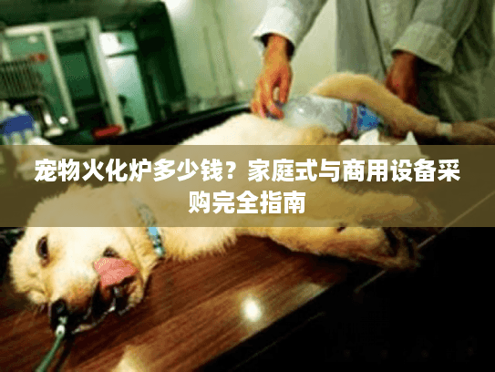 宠物火化炉多少钱？家庭式与商用设备采购完全指南