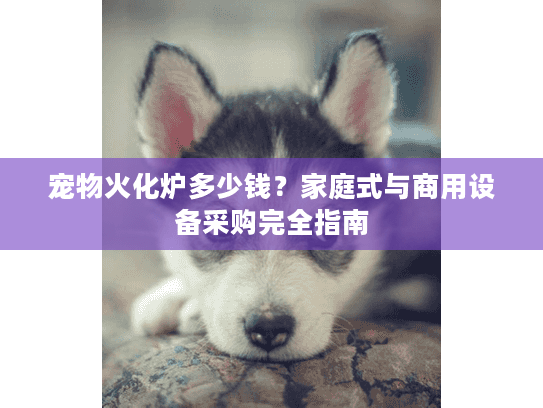 宠物火化炉多少钱？家庭式与商用设备采购完全指南