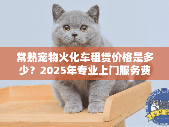 常熟宠物火化车租赁价格是多少？2025年专业上门服务费用全解析