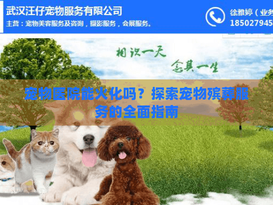 宠物医院能火化吗？探索宠物殡葬服务的全面指南