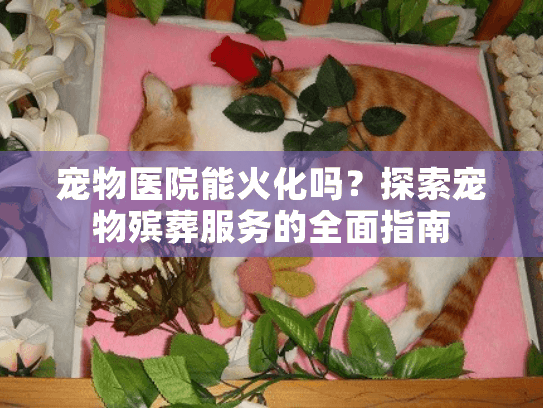 宠物医院能火化吗？探索宠物殡葬服务的全面指南