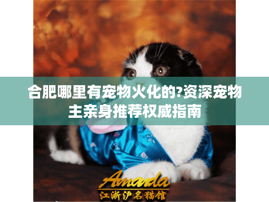 合肥哪里有宠物火化的?资深宠物主亲身推荐权威指南