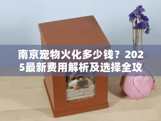 南京宠物火化多少钱？2025最新费用解析及选择全攻略