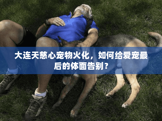 大连天慈心宠物火化，如何给爱宠最后的体面告别？