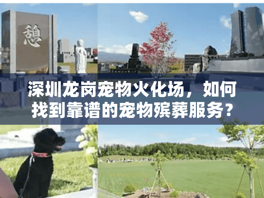 深圳龙岗宠物火化场，如何找到靠谱的宠物殡葬服务？