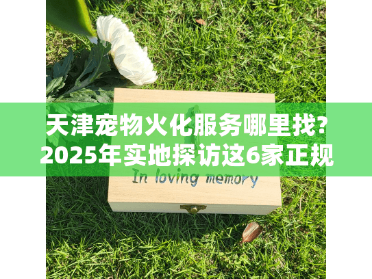 天津宠物火化服务哪里找?2025年实地探访这6家正规机构